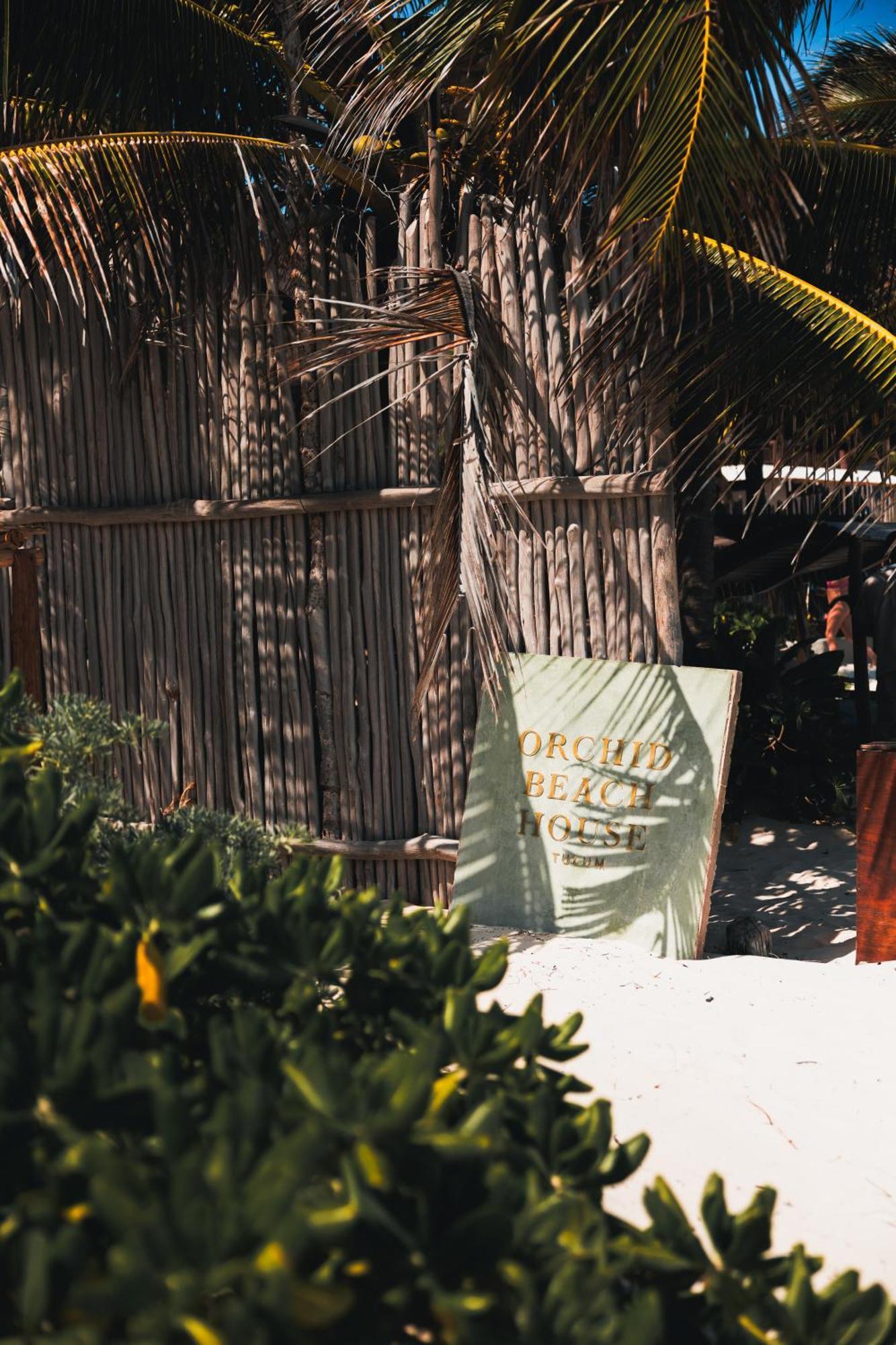 Orchid House Tulum Beach (Adults Only) Eksteriør billede